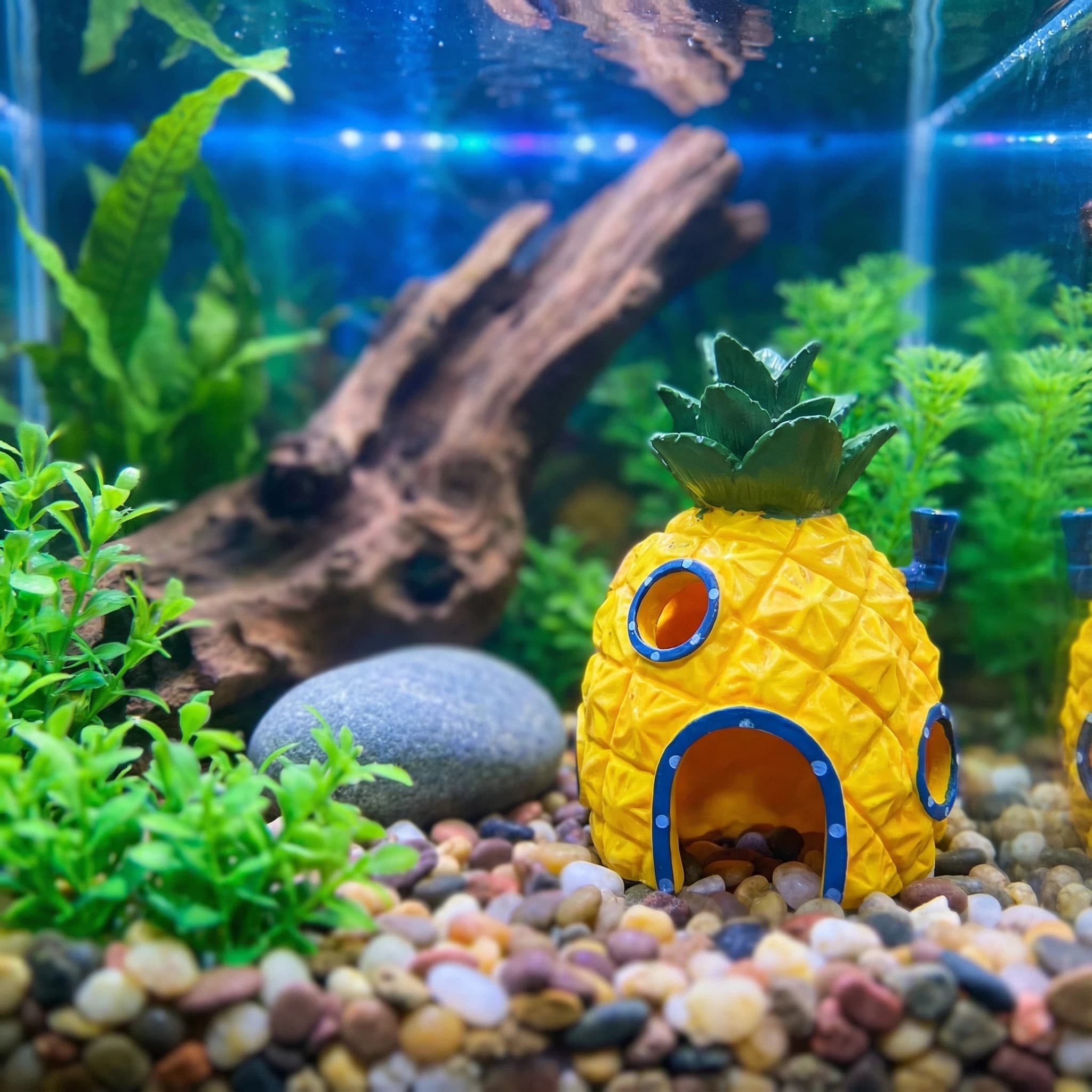 Aquarium Fish Marine - Pineapple House Aquarium Decor， Eco-Friendly Resin