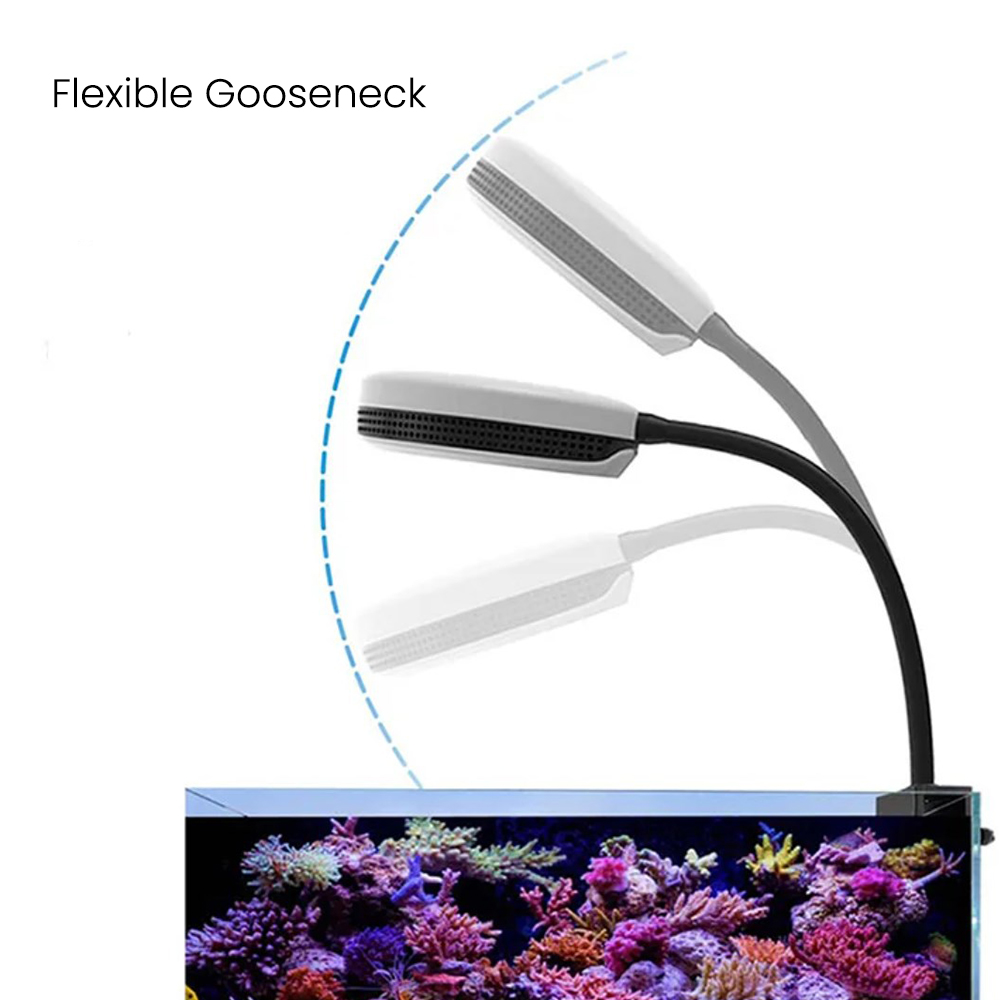 Spectra SP20 20W Aquarium LED  - Aquarium Fish Marine 评论和价格
