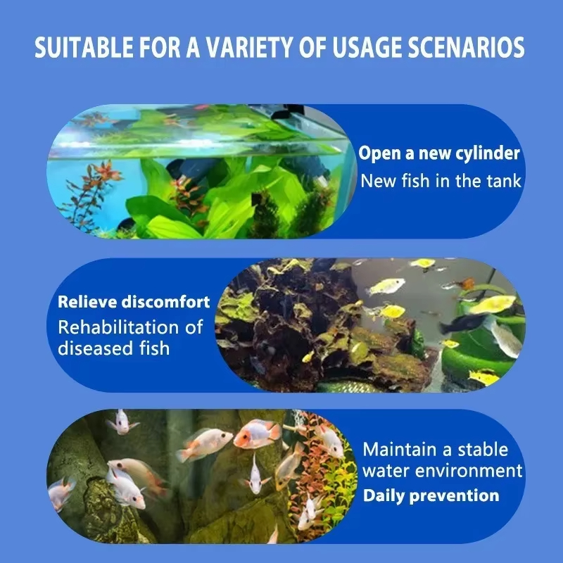 SIKEZHAN Fish Disease Treatmen - Aquarium Fish Freshwater 评论和价格