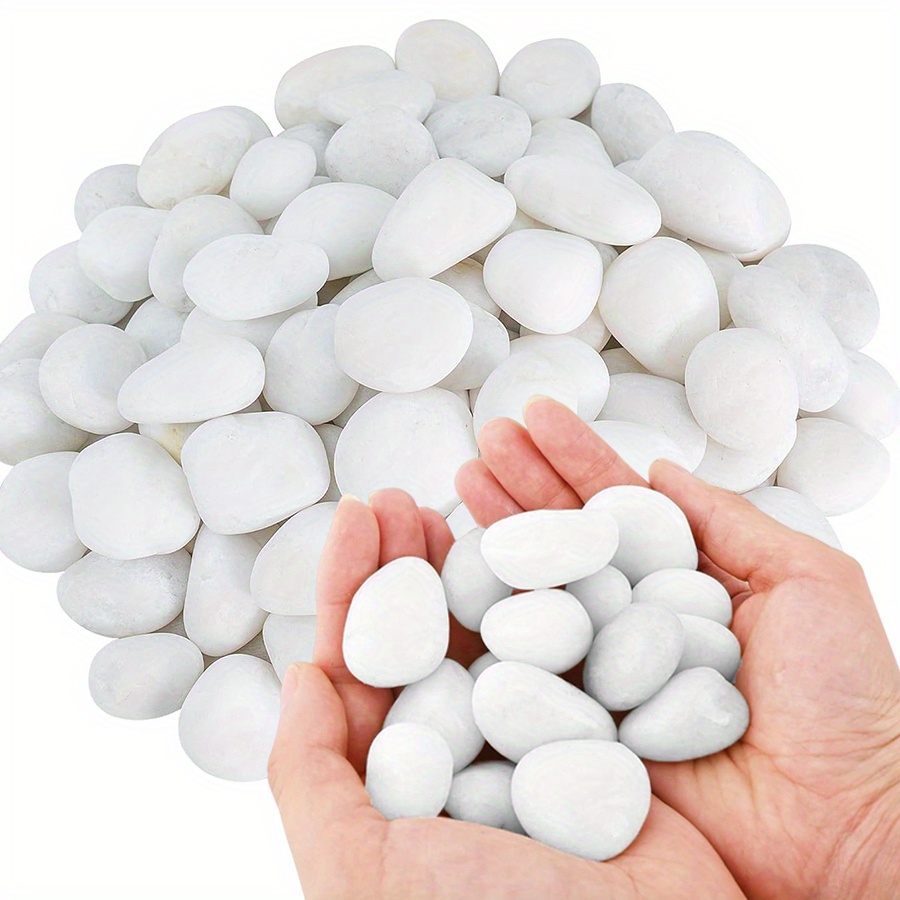 200/400g White High Polished N - Fish Aquarium Home 评论和价格
