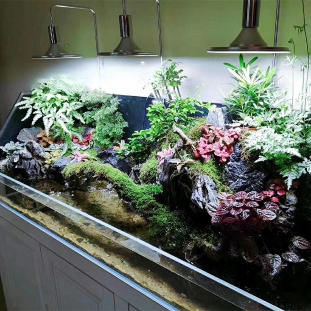LED Fish Tank Light with Adjus - Aquarium Fish Freshwater 评论和价格