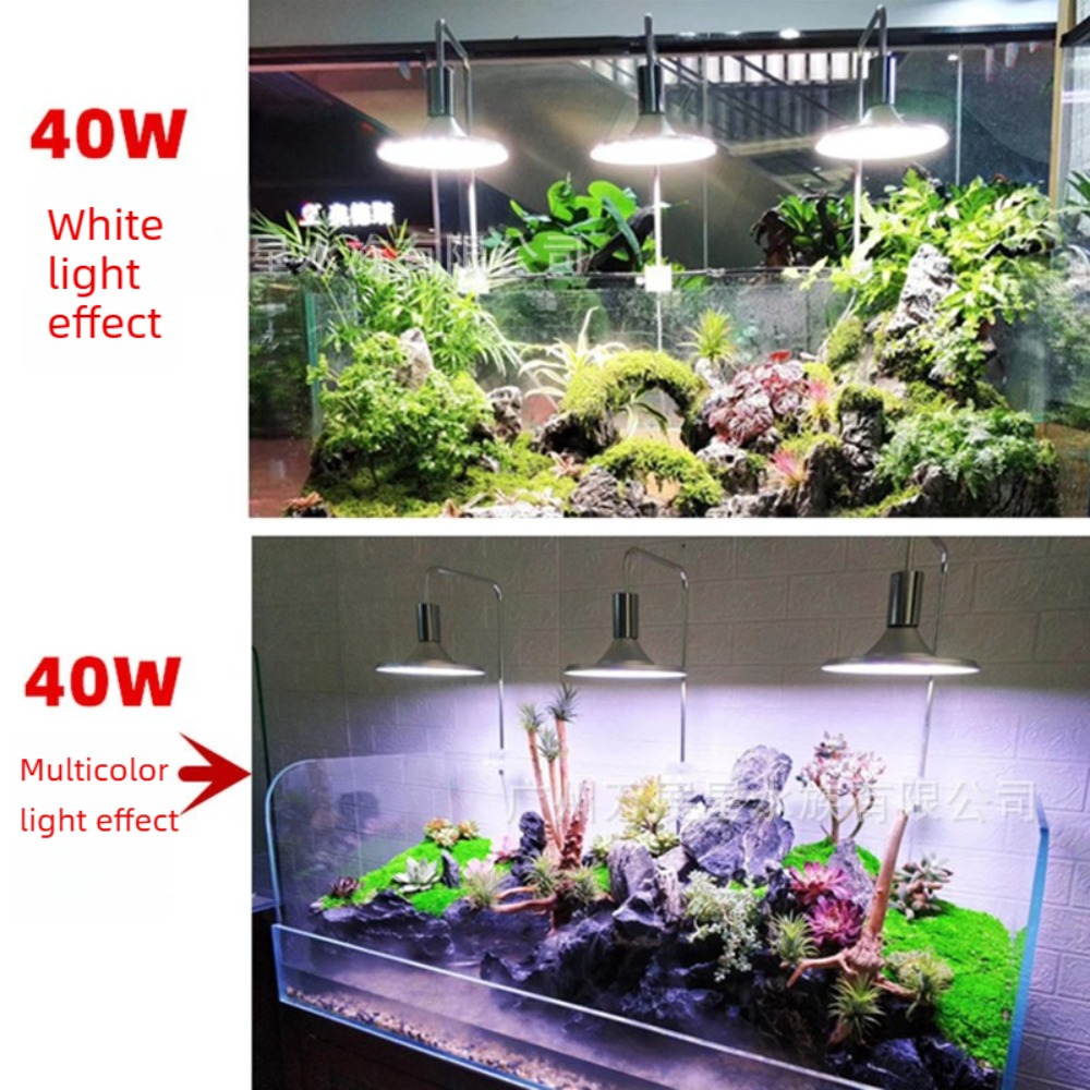 LED Fish Tank Light with Adjus - Aquarium Fish Freshwater 评论和价格