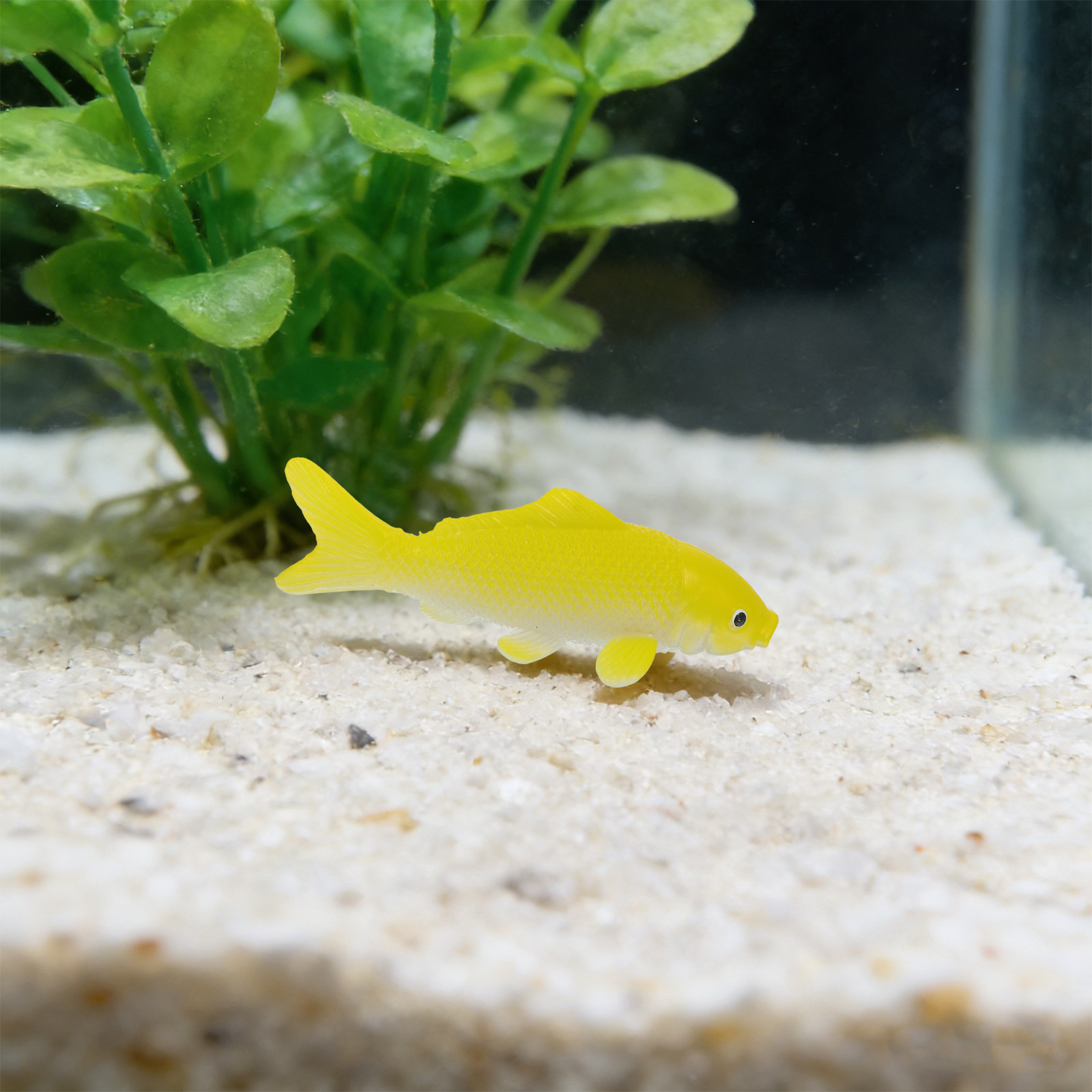 3pcs Fish Crafts Toys Realisti - Fish Aquarium Home 评论和价格