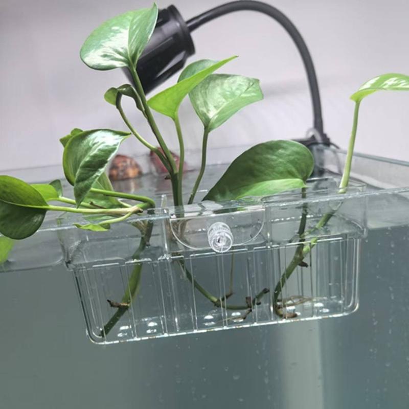 Hydroponic Plant Basket Food G - Fish Aquarium Home 评论和价格
