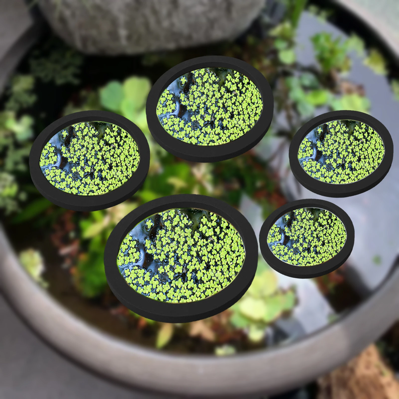 5Pcs EVA Fish Feeding Ring Aqu - Fish Aquarium Home 评论和价格