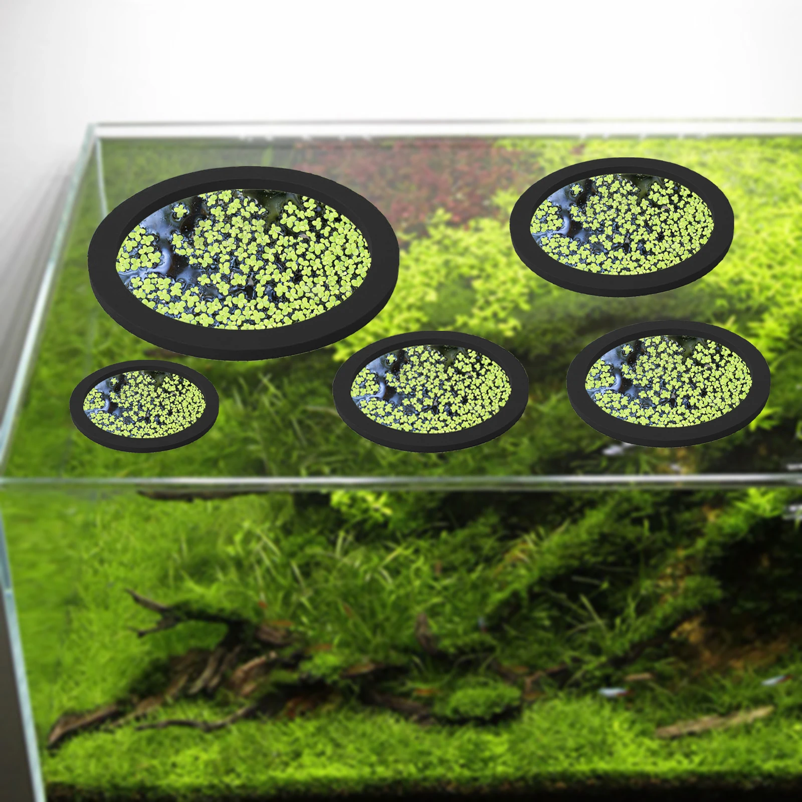5Pcs EVA Fish Feeding Ring Aqu - Fish Aquarium Home 评论和价格