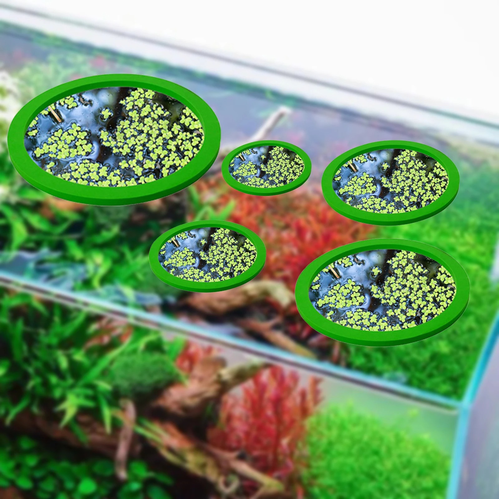 5Pcs EVA Fish Feeding Ring Aqu - Fish Aquarium Home 评论和价格