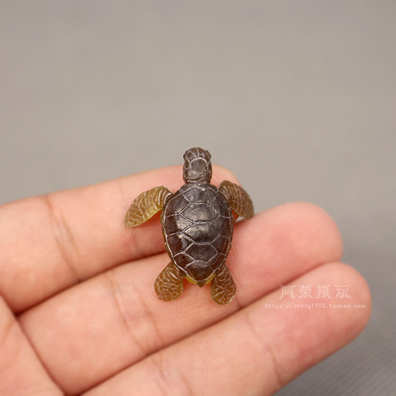 Marine Life Sea Turtle Model O - Aquarium Fish Japan 评论和价格
