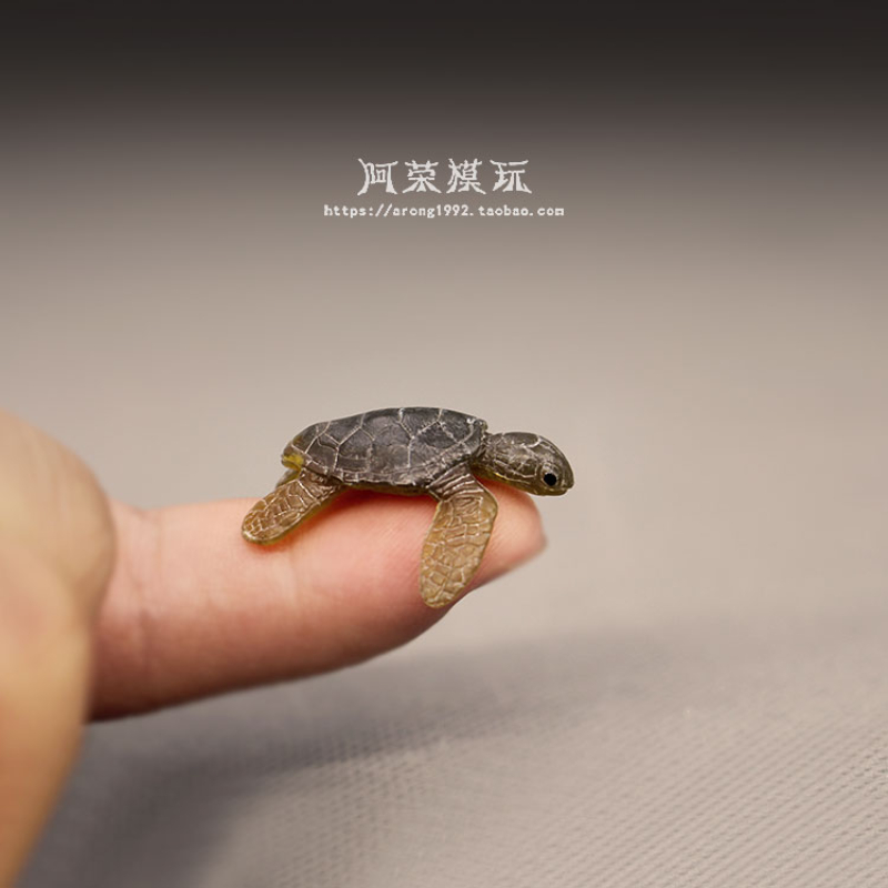 Marine Life Sea Turtle Model O - Aquarium Fish Japan 评论和价格