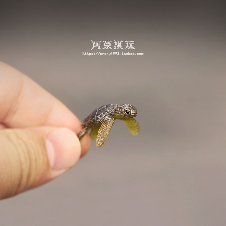 Marine Life Sea Turtle Model O - Aquarium Fish Japan 评论和价格