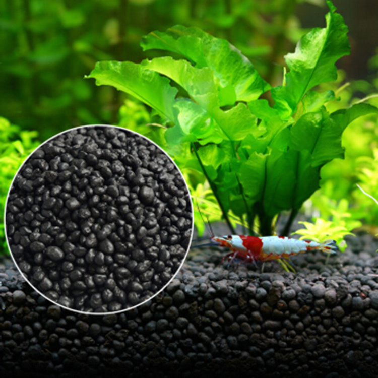 Aquarium Plant Seeds Soil Fish - Aquarium Fish Freshwater 评论和价格