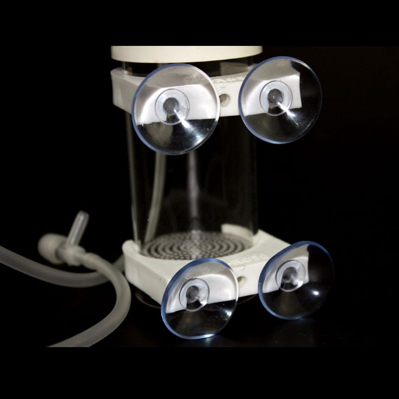 Aquarium Cichlids Tumbler Fish - Aquarium Fishes 评论和价格