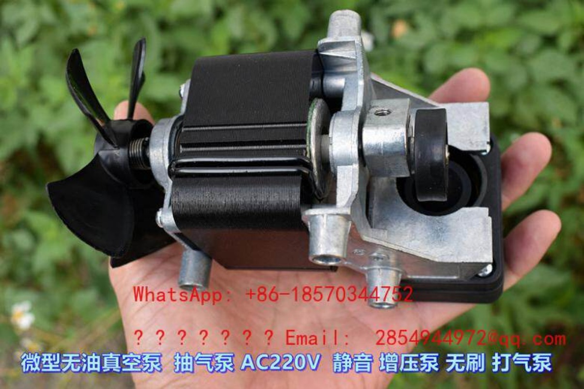 AC220V 100W Oil-free Silent Va - Air Pump Silent 评论和价格