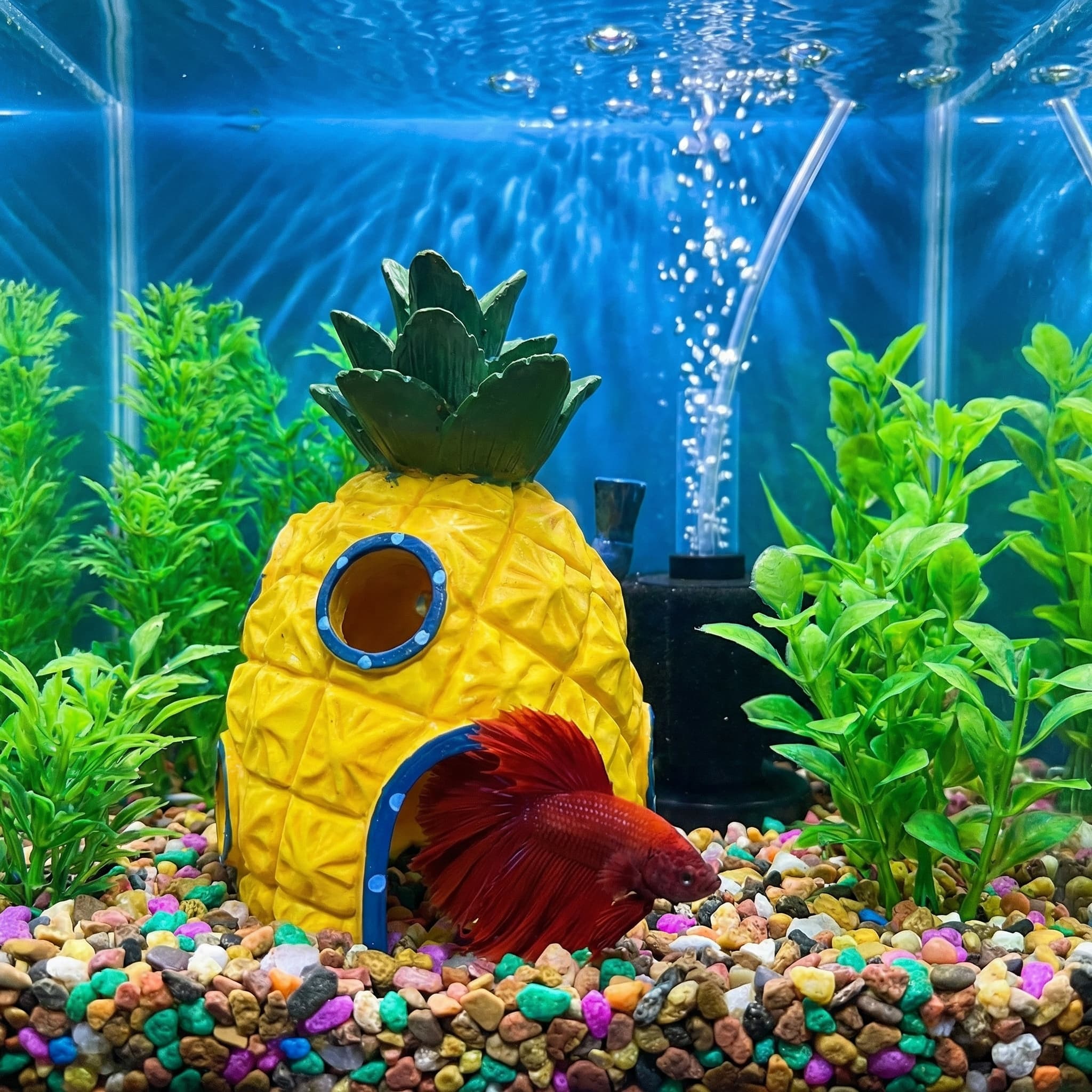 Pineapple House Aquarium Decor - Aquarium Fish Marine 评论和价格