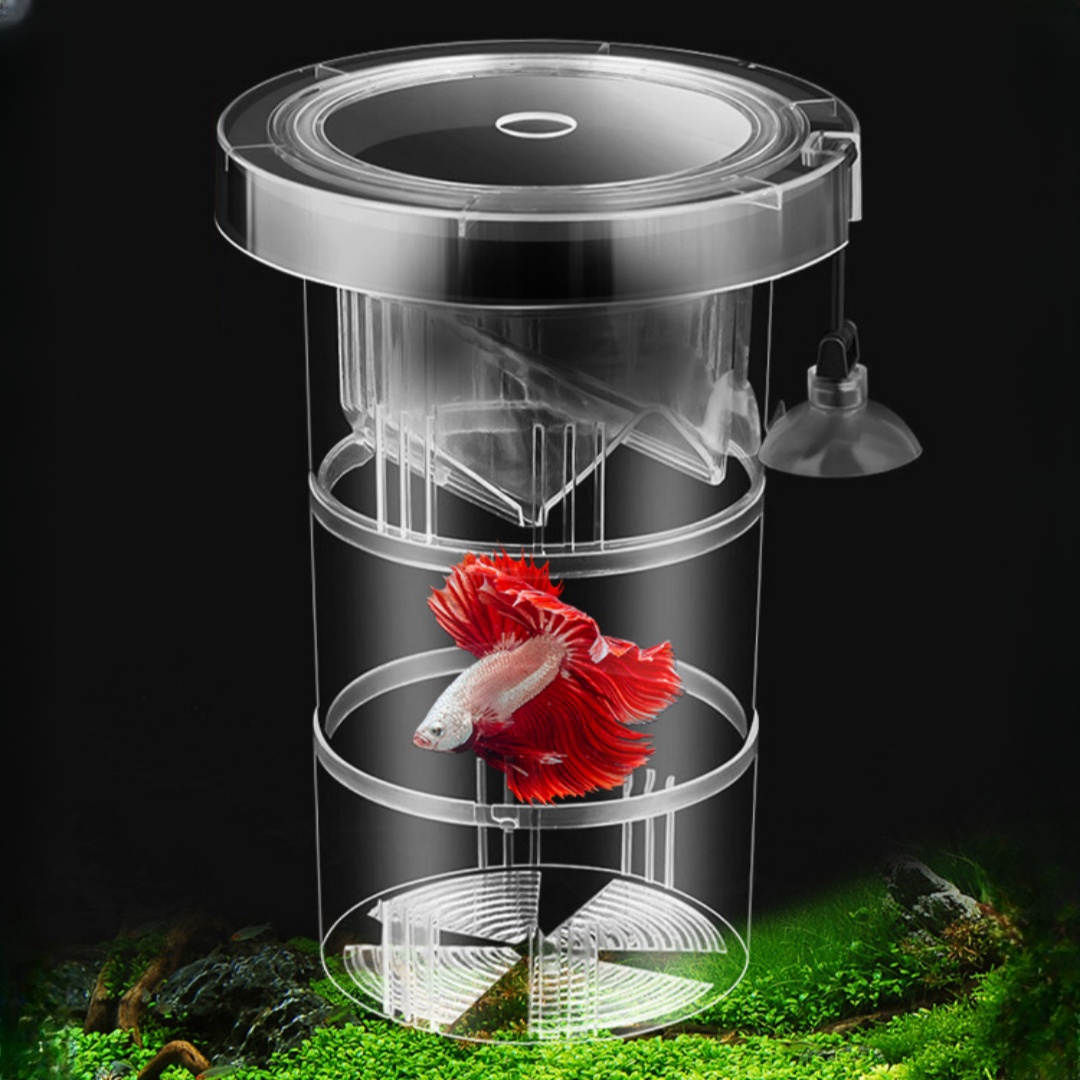 Acrylic Floating Fish Breeding - Aquarium Fish Marine 评论和价格