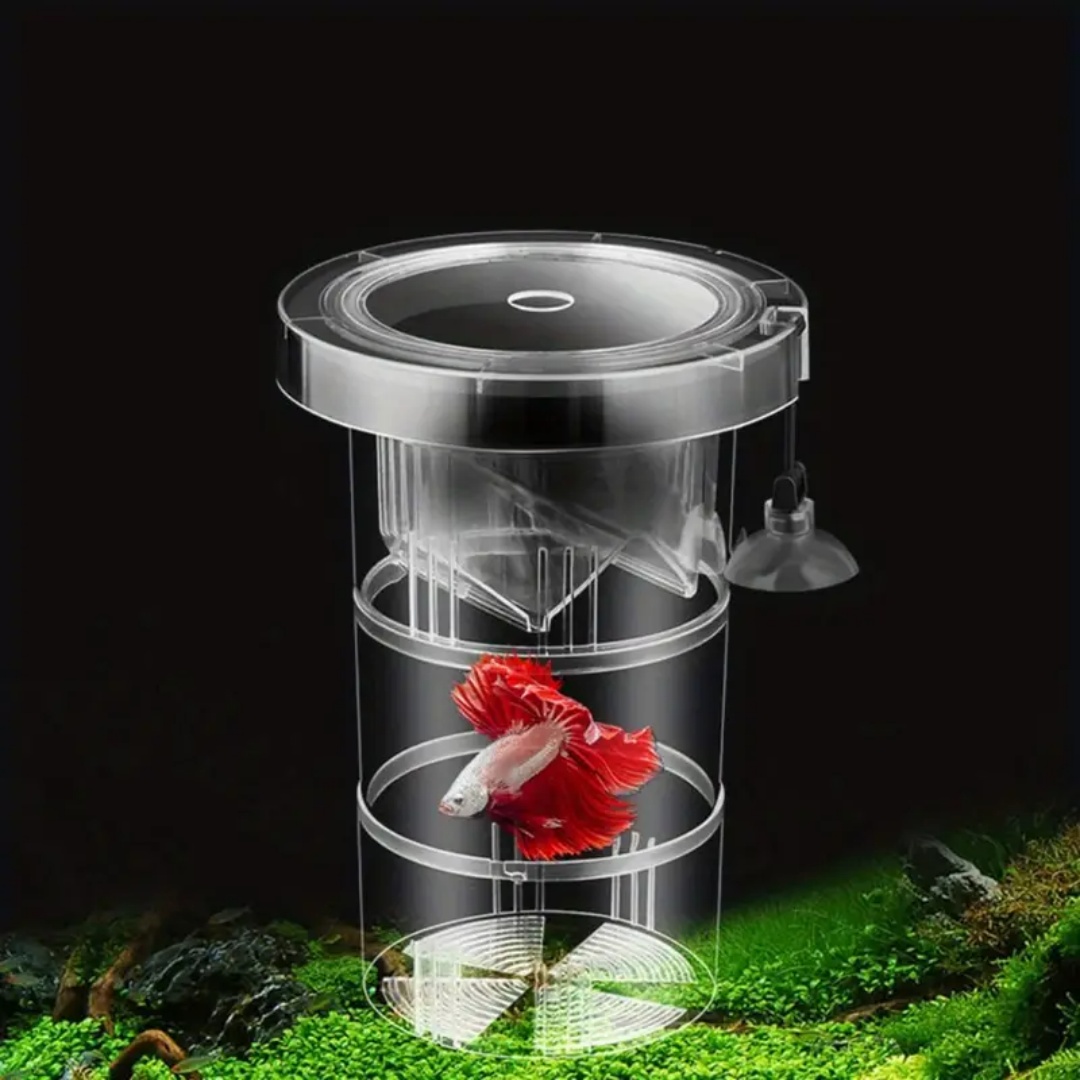 Acrylic Floating Fish Breeding - Aquarium Fish Marine 评论和价格