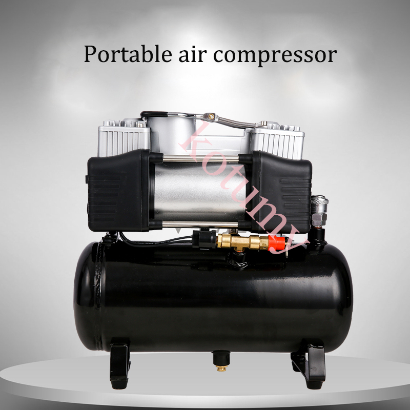 WAP01 2.5L 4L 12V 220V Air Com - Air Pump Silent 评论和价格