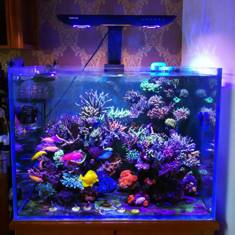 AE200 200W Aquarium Coral Reef - Aquarium Fish Marine 评论和价格