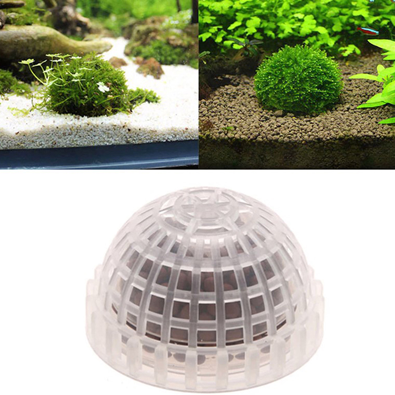 【B】Aquatic Pet Supplies Decora - Live Fish Aquarium 评论和价格